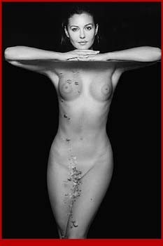 bellucci4