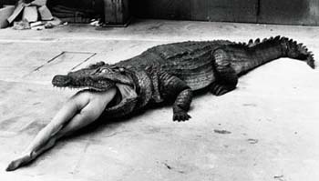 crocco