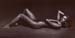 ALESSIA3